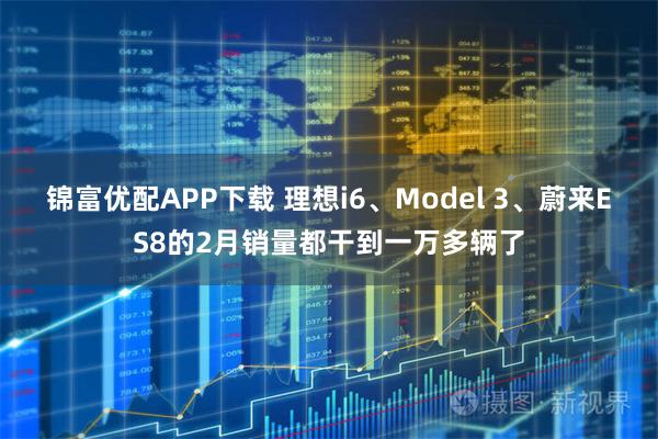 锦富优配APP下载 理想i6、Model 3、蔚来ES8的2月销量都干到一万多辆了