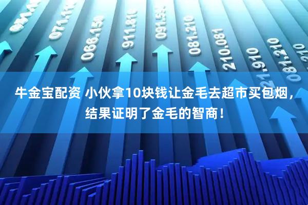 牛金宝配资 小伙拿10块钱让金毛去超市买包烟，结果证明了金毛的智商！