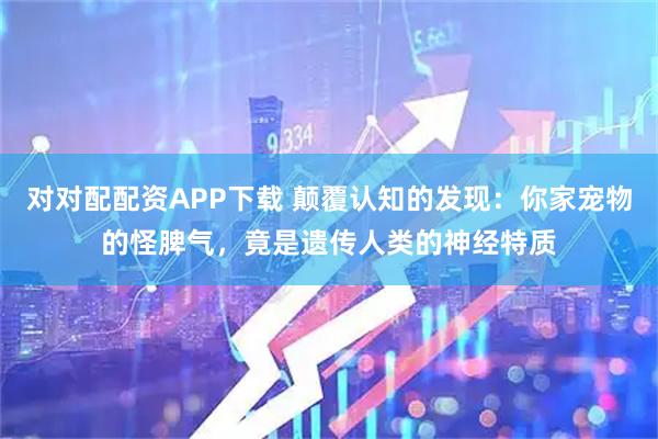 对对配配资APP下载 颠覆认知的发现：你家宠物的怪脾气，竟是遗传人类的神经特质