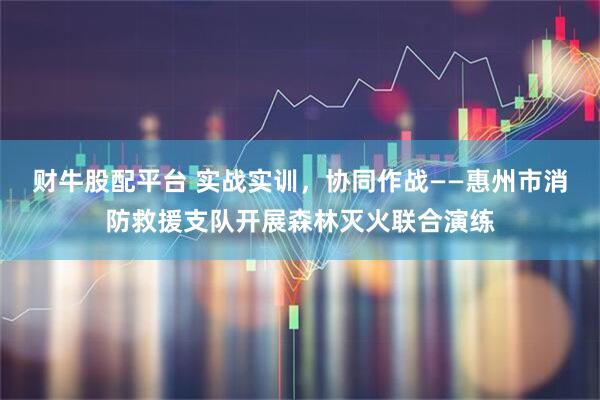 财牛股配平台 实战实训，协同作战——惠州市消防救援支队开展森林灭火联合演练